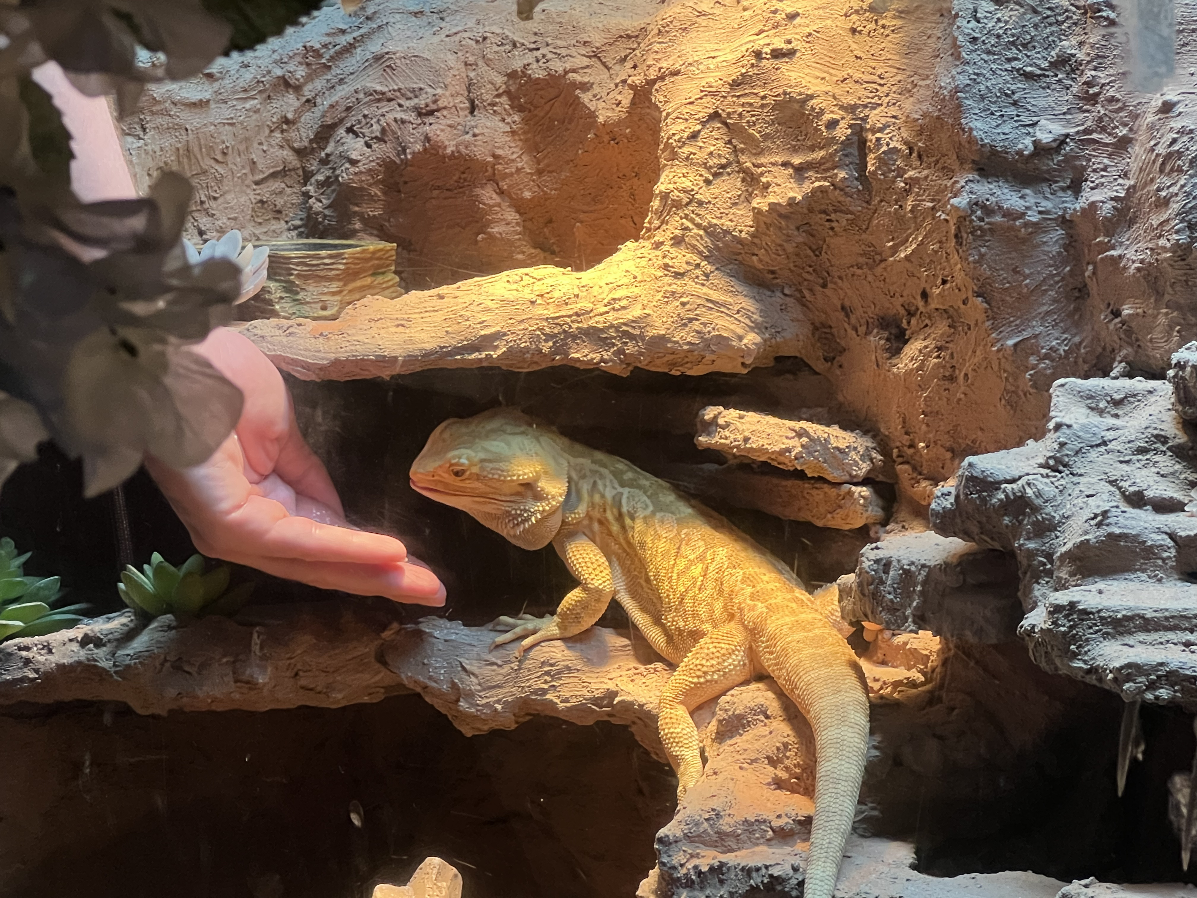 ./2024/10 - Myrtle Beach/IMG_3151.jpg